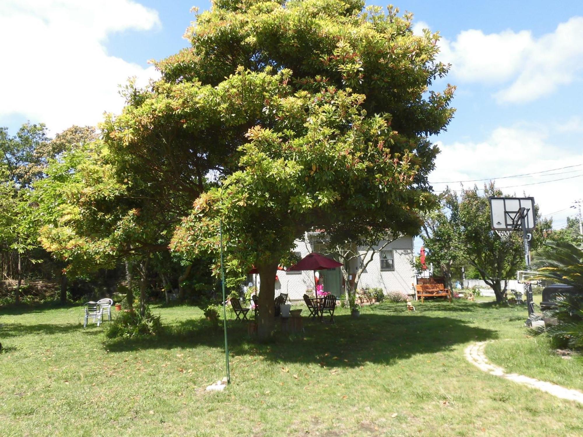 Pension Alba - Vacation Stay 70965V Tateyama  Buitenkant foto